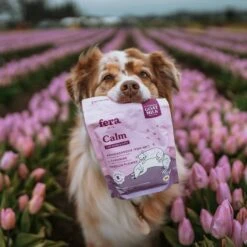 Fera Pet Organics Calm Goat Milk Topper For Dogs & Cats, 60 Count 8 Fera Pet Organics Calm Goat Milk Topper For Dogs & Cats, 60 Count -Pet Wellness 951734 PT3. AC SS1800 V1694620380