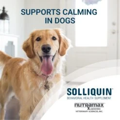 Nutramax Solliquin Soft Chew Calming Supplement -Pet Wellness 951758 PT2. AC SS1800 V1698264404