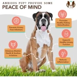 Natural Dog Company Urinary & Bladder Supplement Chews For Dogs, 90 Count -Pet Wellness 954190 PT3. AC SS1800 V1695055687