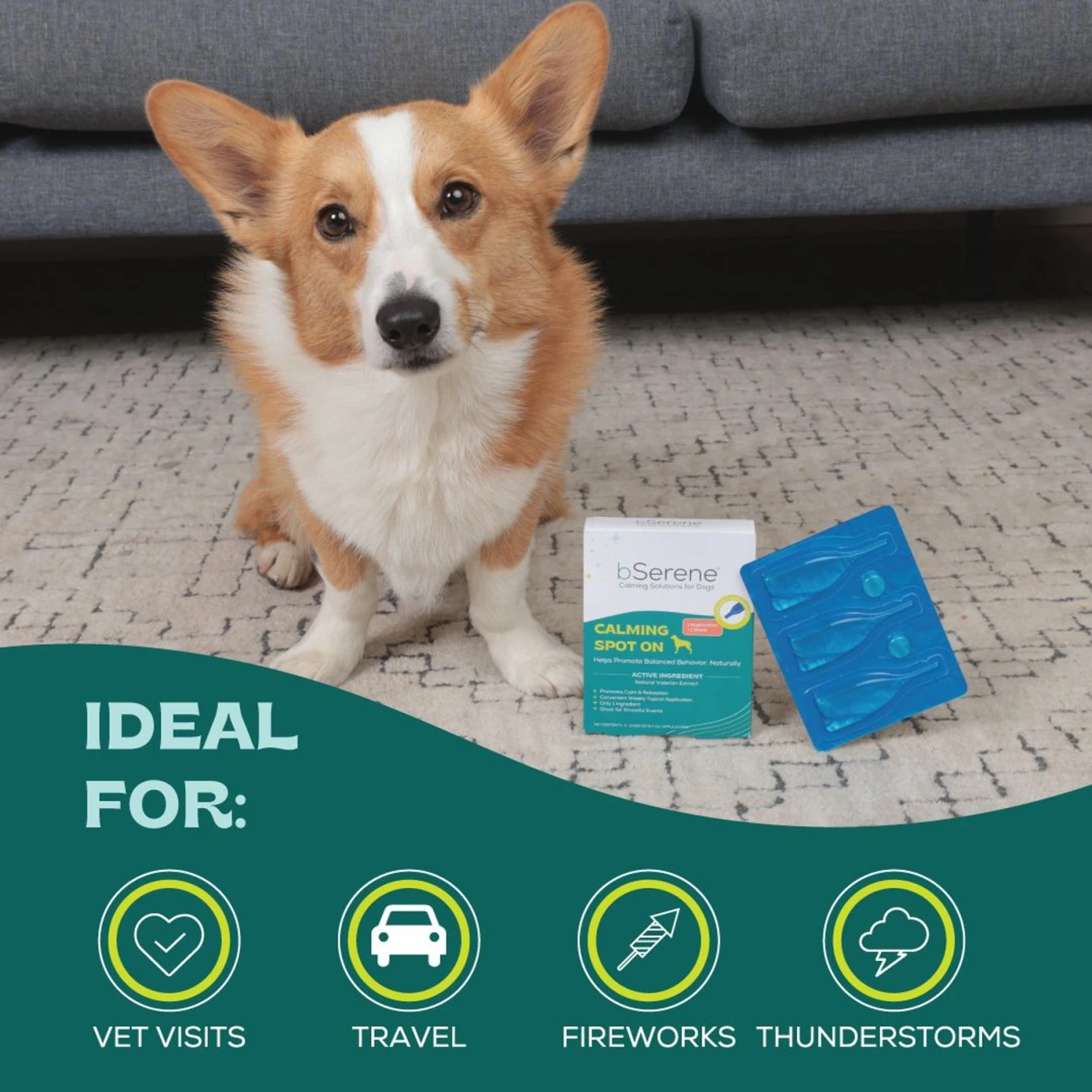 BSerene Spot On Valerian Calming Topical Solution For Dogs, 3 Count 4 BSerene Spot On Valerian Calming Topical Solution For Dogs, 3 Count - Image 4