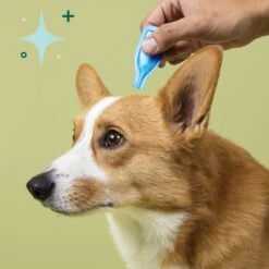 BSerene Spot On Valerian Calming Topical Solution For Dogs, 3 Count 10 BSerene Spot On Valerian Calming Topical Solution For Dogs, 3 Count -Pet Wellness 958966 PT4. AC SS1800 V1699024070