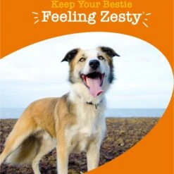 Zesty Paws 8-in-1 Bites Peanut Butter Flavored Soft Chews Multivitamin For Dogs -Pet Wellness 960934 PT4. AC SS1800 V1698094468