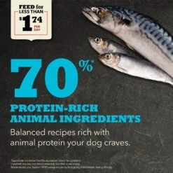 ACANA Wild Atlantic Grain-Free Dry Dog Food -Pet Wellness 96309 PT3. AC SS1800 V1691002890