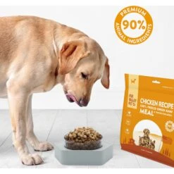 Fur Valley Absolute Chicken Recipe Freeze-Dried Dog Food, 16-oz Bag -Pet Wellness 970878 PT5. AC SS1800 V1698869127