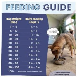 Pawstruck Beef Recipe Grain-Free Air Dried Dog Food -Pet Wellness 971926 PT7. AC SS1800 V1696359635