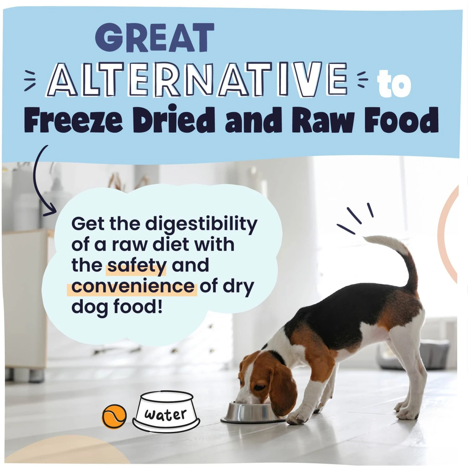 Pawstruck Chicken Recipe Grain-Free Air Dried Dog Food 6 Pawstruck Chicken Recipe Grain-Free Air Dried Dog Food - Image 6