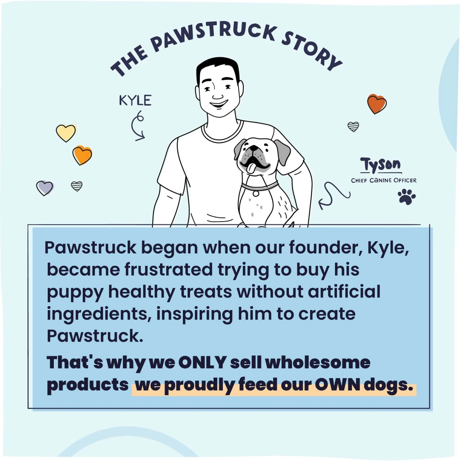 Pawstruck Chicken Recipe Grain-Free Air Dried Dog Food 9 Pawstruck Chicken Recipe Grain-Free Air Dried Dog Food - Image 9