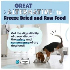 Pawstruck Fish Recipe Grain-Free Air Dried Dog Food 14 Pawstruck Fish Recipe Grain-Free Air Dried Dog Food -Pet Wellness 971974 PT5. AC SS1800 V1696359636