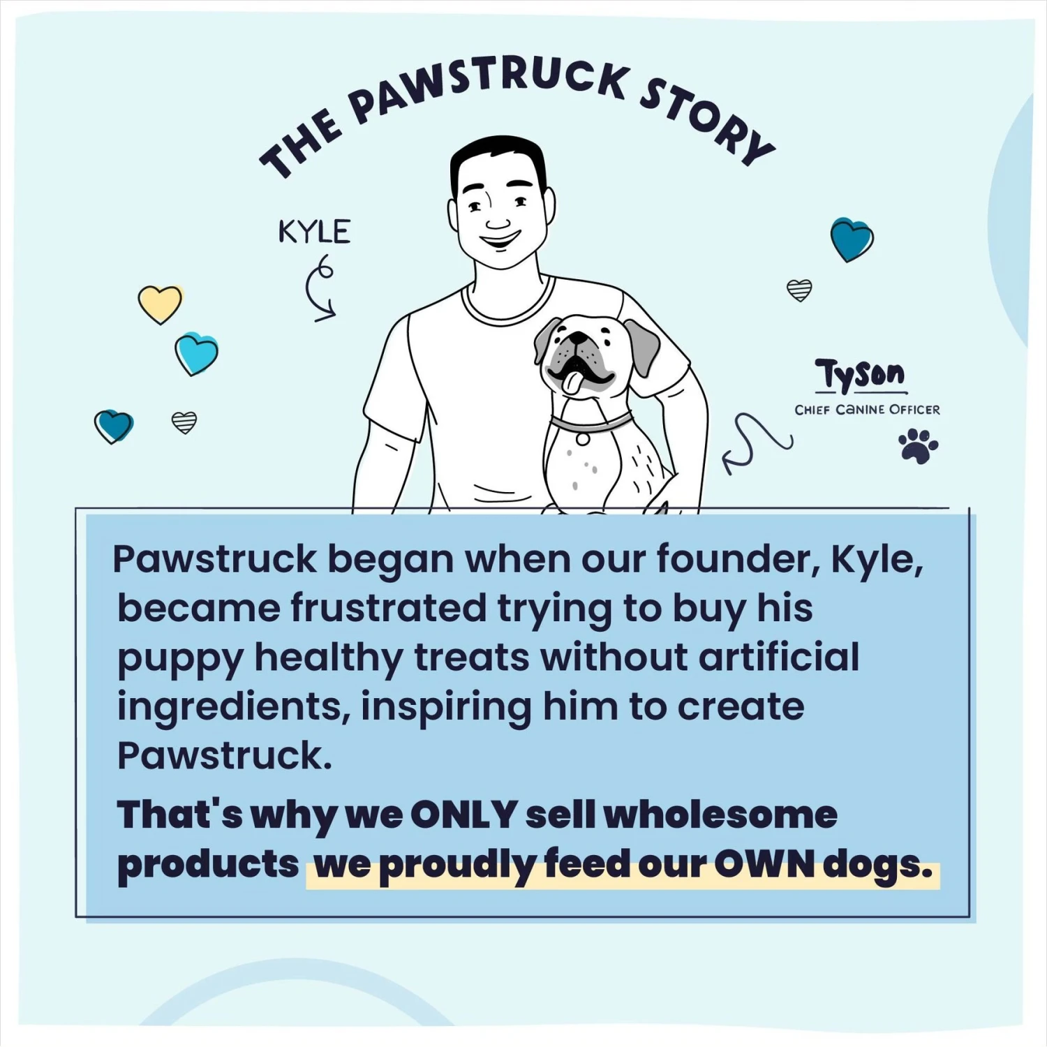 Pawstruck Fish Recipe Grain-Free Air Dried Dog Food 9 Pawstruck Fish Recipe Grain-Free Air Dried Dog Food - Image 9