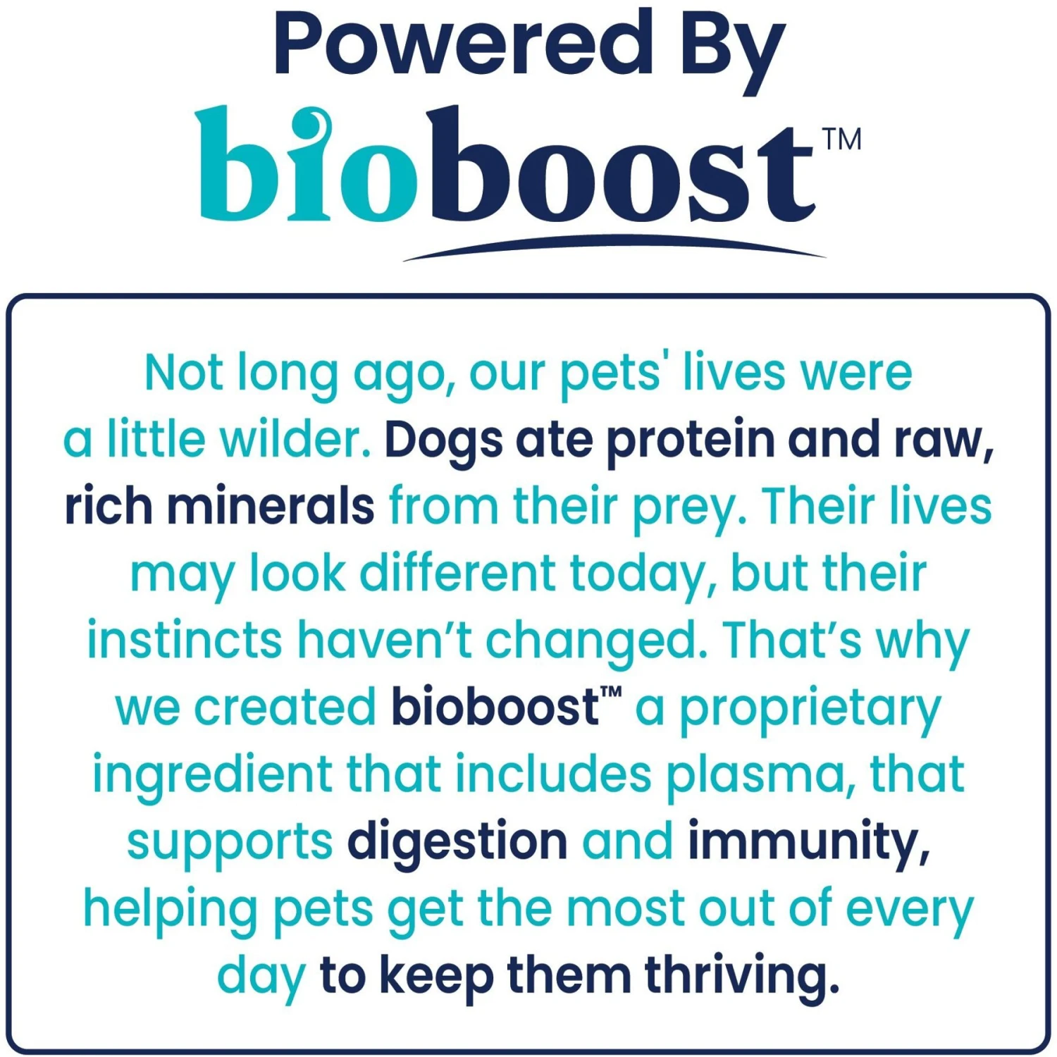 Solid Gold Berry Balance Urinary Tract Health Bacon Flavored Dog & Cat Supplement, 120 Count 4 Solid Gold Berry Balance Urinary Tract Health Bacon Flavored Dog & Cat Supplement, 120 Count - Image 4