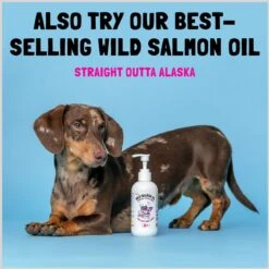 Legitpet Alaskan Salmon Oil Omega-3 Soft Chew Skin & Coat Supplement For Dogs -Pet Wellness 976950 PT8. AC SS1800 V1697219323