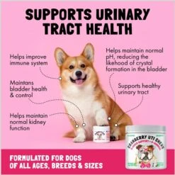 Legitpet Cranberry UTI Soft Chew Bladder Support Supplement For Dogs -Pet Wellness 976966 PT2. AC SS1800 V1697219352