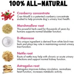 Legitpet Cranberry UTI Soft Chew Bladder Support Supplement For Dogs -Pet Wellness 976966 PT4. AC SS1800 V1697203976