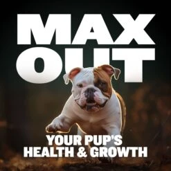 Bully Max Immunity & Growth 2-in-1 Puppy Health Supplement For Dogs, 10.6-oz Pouch -Pet Wellness 976990 PT3. AC SS1800 V1702678185