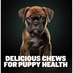 Bully Max Immunity & Growth 2-in-1 Puppy Health Supplement For Dogs, 10.6-oz Pouch -Pet Wellness 976990 PT6. AC SS1800 V1702678185