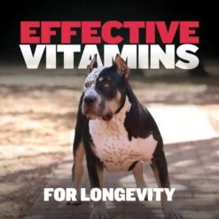Bully Max Vitality Chews For Immunity & Health 9-in-1 Supplement For Dogs, 10.6-oz Pouch -Pet Wellness 977006 PT5. AC SS1800 V1702678214