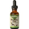 Animal Essentials Healthy Gut Herbal Prebiotic Dog & Cat Supplement