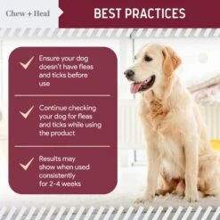 Chew + Heal Flea & Tick Support Soft Chew Supplement For Dogs, 180 Count -Pet Wellness 983174 PT3. AC SS1800 V1699634833