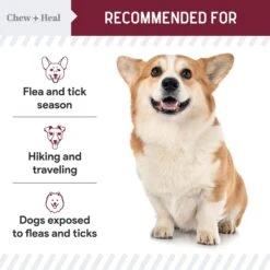 Chew + Heal Flea & Tick Support Soft Chew Supplement For Dogs, 180 Count -Pet Wellness 983174 PT5. AC SS1800 V1699634834