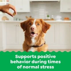 Greenies Supplements Calming Adult Chicken Flavor Dog Treat -Pet Wellness 984062 PT2. AC SS1800 V1699634446