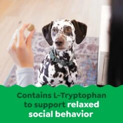 Greenies Supplements Calming Adult Chicken Flavor Dog Treat -Pet Wellness 984062 PT7. AC SS1800 V1699634429