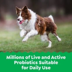 Greenies Supplements Digestive Health Adult Chicken Flavor Dog Treat -Pet Wellness 984094 PT2. AC SS1800 V1699634418