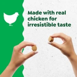 Greenies Supplements Digestive Health Adult Chicken Flavor Dog Treat -Pet Wellness 984094 PT4. AC SS1800 V1699634418