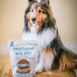 Healthybud Turkey Meal Bites Freeze-Dried Dog Food, 14-oz Bag -Pet Wellness 992662 PT6. AC SS1800 V1702938386