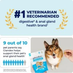Vetnique Labs Glandex Anal Gland & Probiotic Peanut Butter Flavored Pumpkin Fiber Soft Chew Digestive Boot The Scoot Dog Supplement -Pet Wellness 99278 PT4. AC SS1800 V1688071208