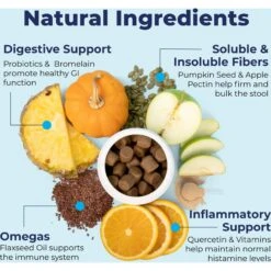 Vetnique Labs Glandex Anal Gland & Probiotic Peanut Butter Flavored Pumpkin Fiber Soft Chew Digestive Boot The Scoot Dog Supplement -Pet Wellness 99278 PT5. AC SS1800 V1688071268