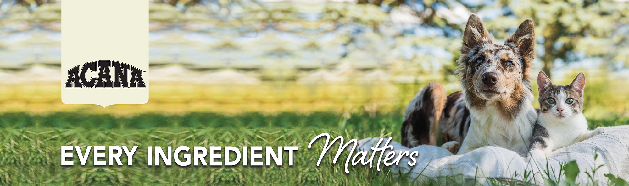Pet Wellness -Pet Wellness acana header
